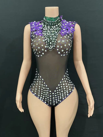 Sexy Black Mesh Dress, Purple High-altitude Dress, Birthday Party, Tassel Rhinestone Luxury DJ