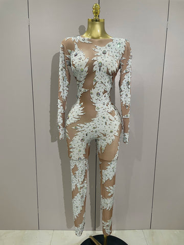 Sexy Stage Costume Crystal High Stretch Bodycon Long Sleeve Jumpsuit Women Celebrate Nightclub Party Dancer Performance Wear