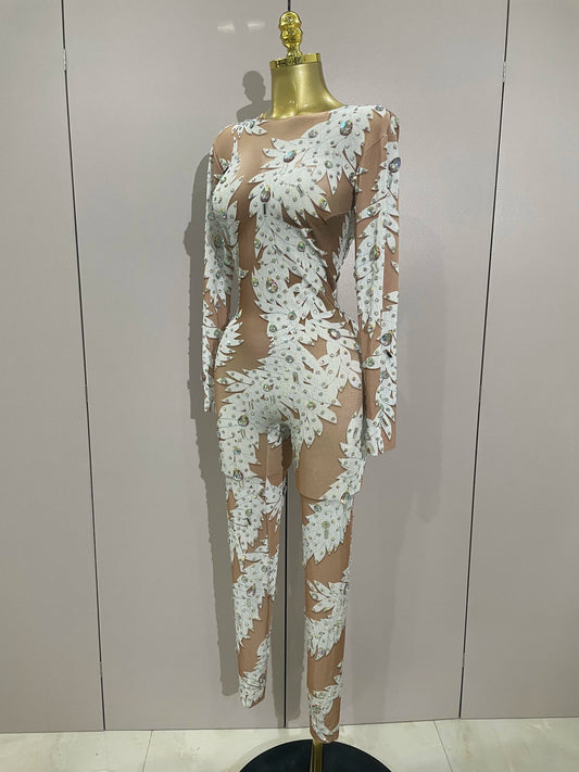 Sexy Stage Costume Crystal High Stretch Bodycon Long Sleeve Jumpsuit Women Celebrate Nightclub Party Dancer Performance Wear