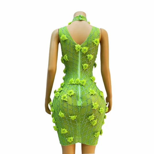New Design Silver Green Flower Rhinestones Transparent Dress Birthday Celebrate Costume Dance Performance Photoshoot Outfit